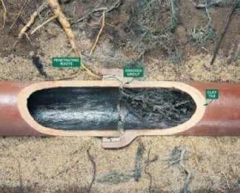 A cross-section of an underground pipe shows invading plant roots entering through a cracked section, typical of sewer repairs in Bergen County NJ. Labels point to "Penetrating Roots," "Cracked Circuit," and "Clay Tile," with soil and roots surrounding the pipe.